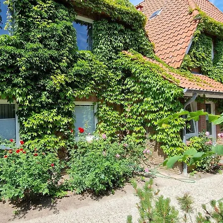 Luna-wohnung-31 * Sankt Peter-Ording