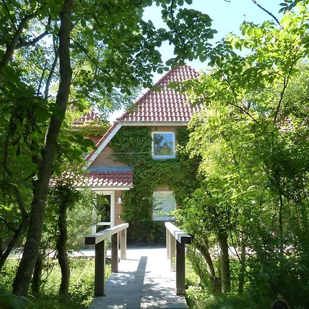 Apartmán Luna-wohnung-31 *